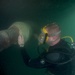 Shaft seal inspection