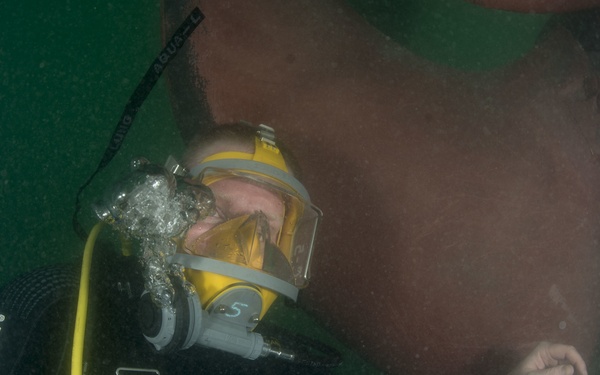 Shaft seal inspection