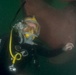 Shaft seal inspection