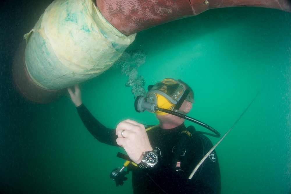 Shaft seal inspection