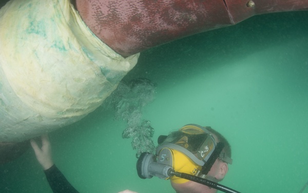 Shaft seal inspection
