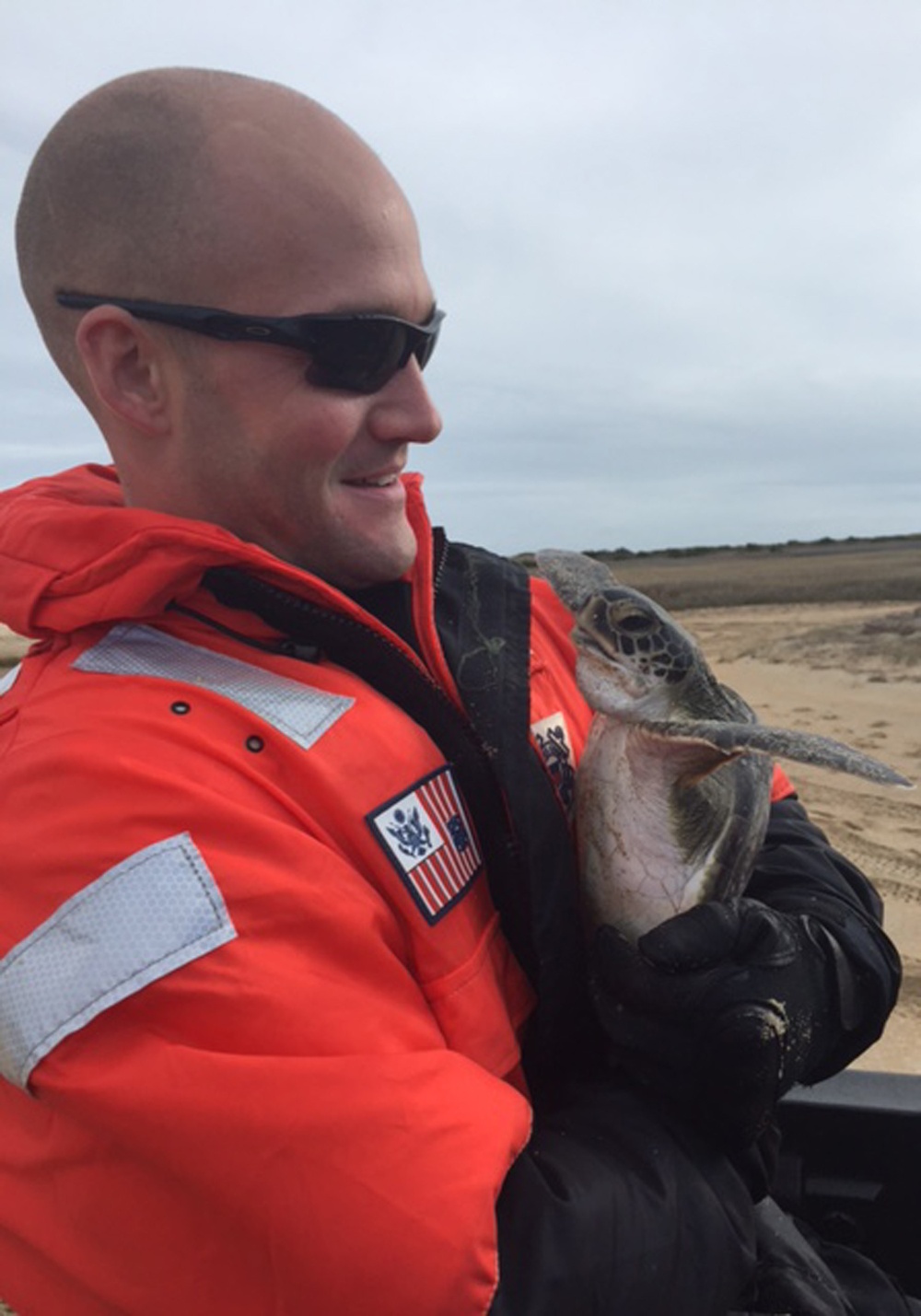 Coast Guard, National Park Service rescue sea turtles along Outer Banks, NC, beaches