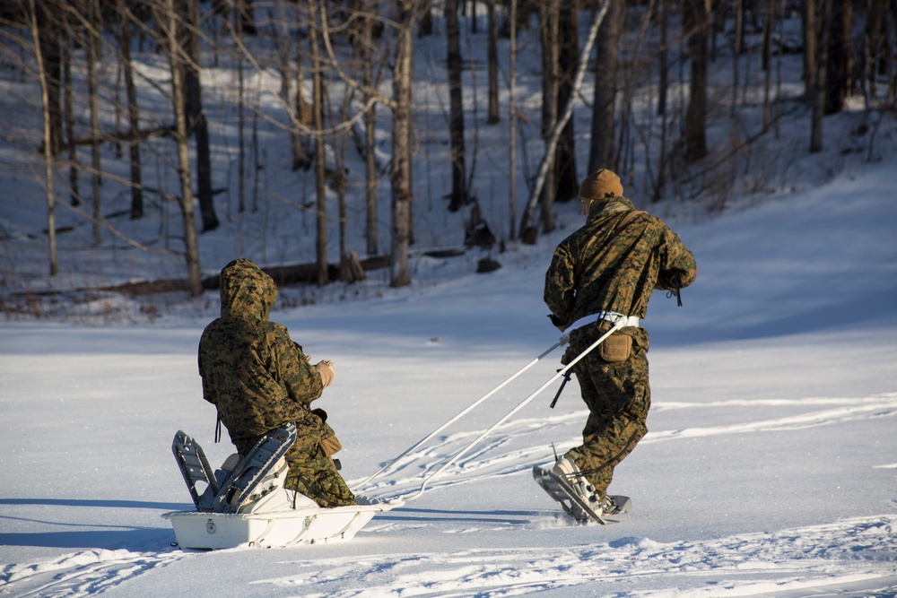 Nordic Frost