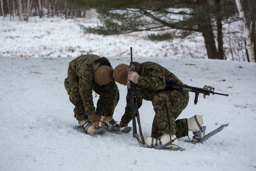 Nordic Frost