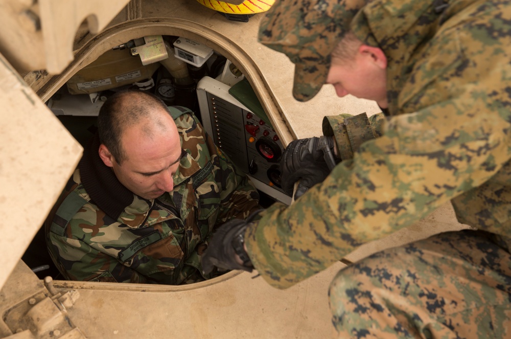 US, Romanian and Bulgarian Forces initiate multilateral exercise