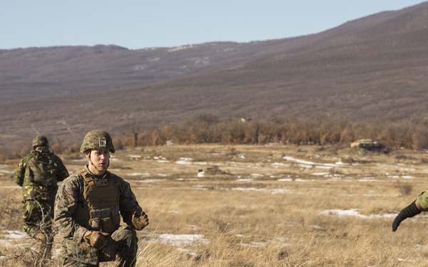 US, Romanian and Bulgarian Forces initiate multilateral exercise