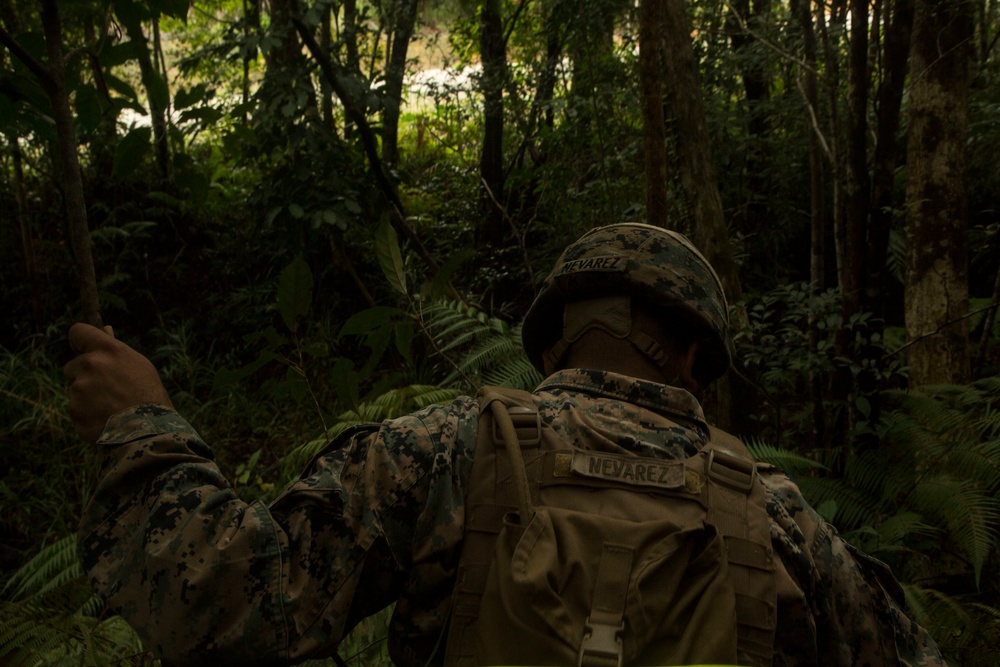 Squad Attacks: MEU Marines take on jungle, mud during live-fire training