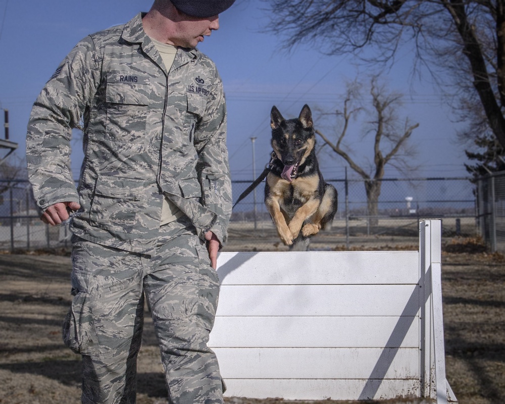 Vance MWD put through paces during routine training