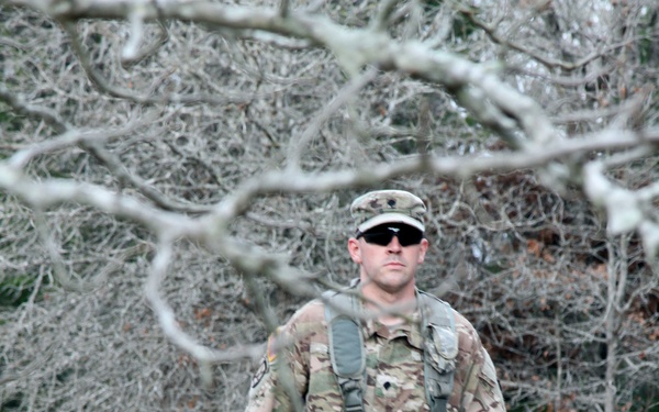 Cooperative competition