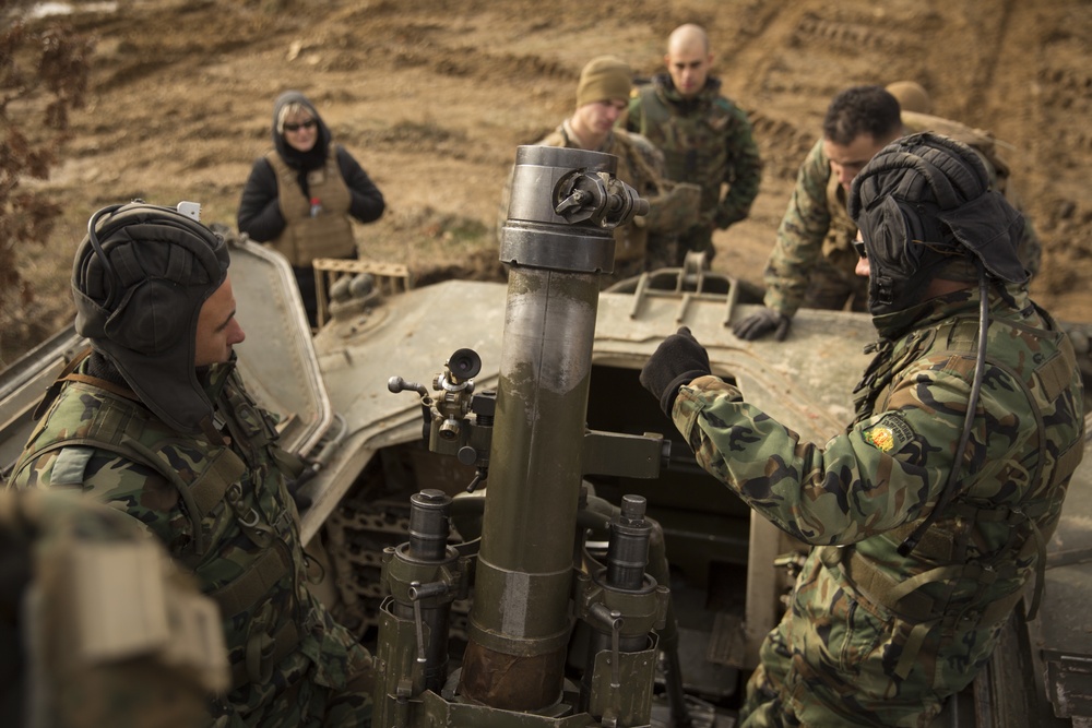 US, Romanian and Bulgarian Forces conduct multilateral exercise