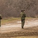 NATO Allies share skills during Platinum Lion 16-2