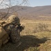NATO Allies share skills during Platinum Lion 16-2