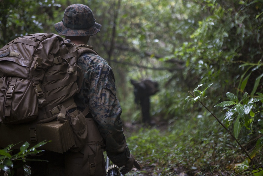 MEU Marines train for jungle combat