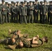 Japan Ground Self-Defense Force officer candidates learn from Marines