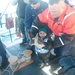 Coast Guard Cutter Cushing crew helps release 130 turtles