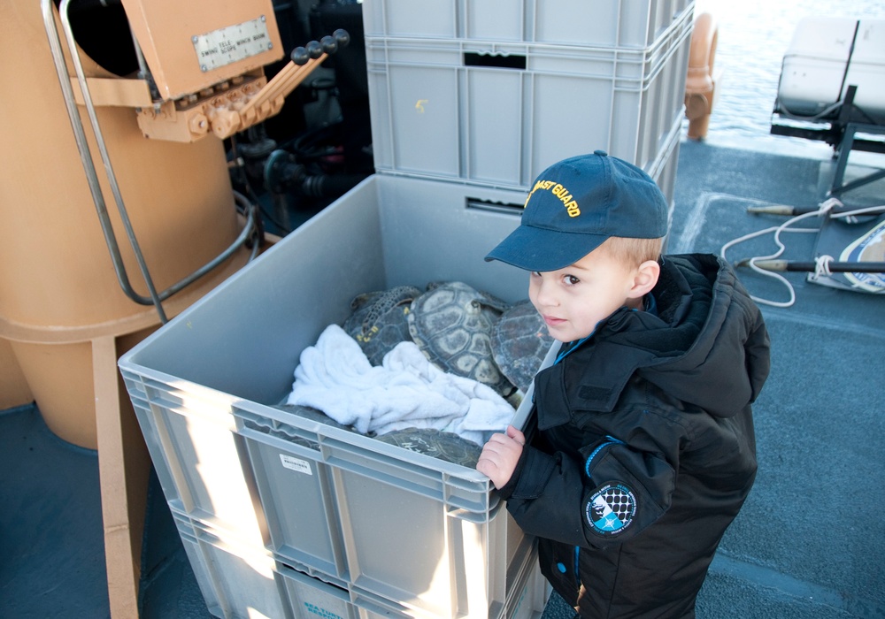 Coast Guard Cutter Cushing crew helps release 130 turtles