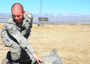 Cactus Flag: A large force employment exercise