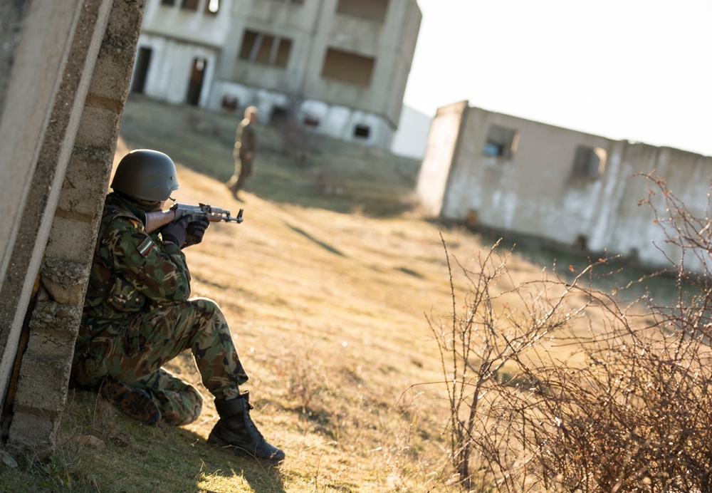 Bulgarian, U.S. tanks roll side-by-side to conclude Platinum Lion 16-2