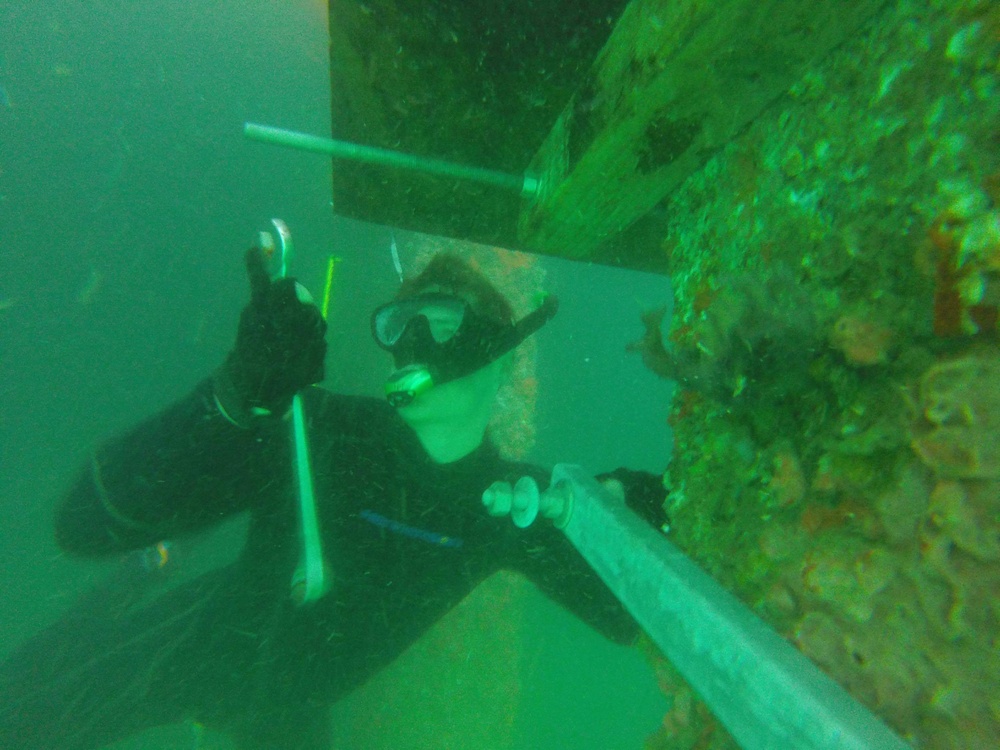 UCT 2 conducts pier repair