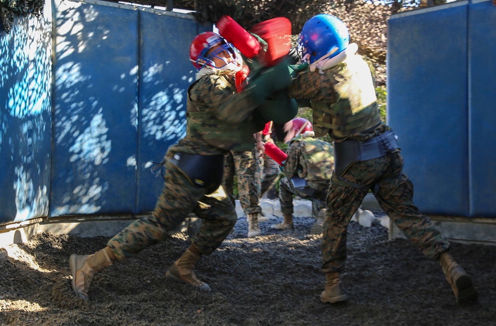 Co. C - Pugil Sticks III