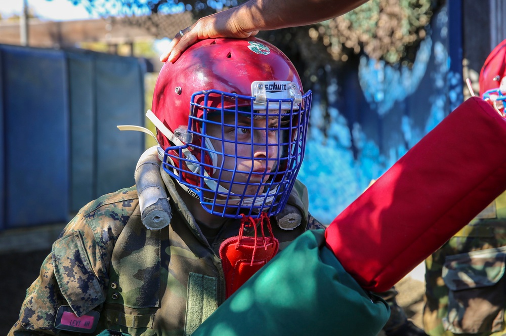 Co. C - Pugil Sticks III