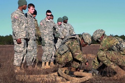 Observing the training