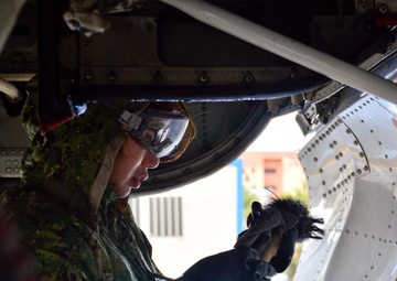 Golden Eagles enact corrosion preventative maintenance plan