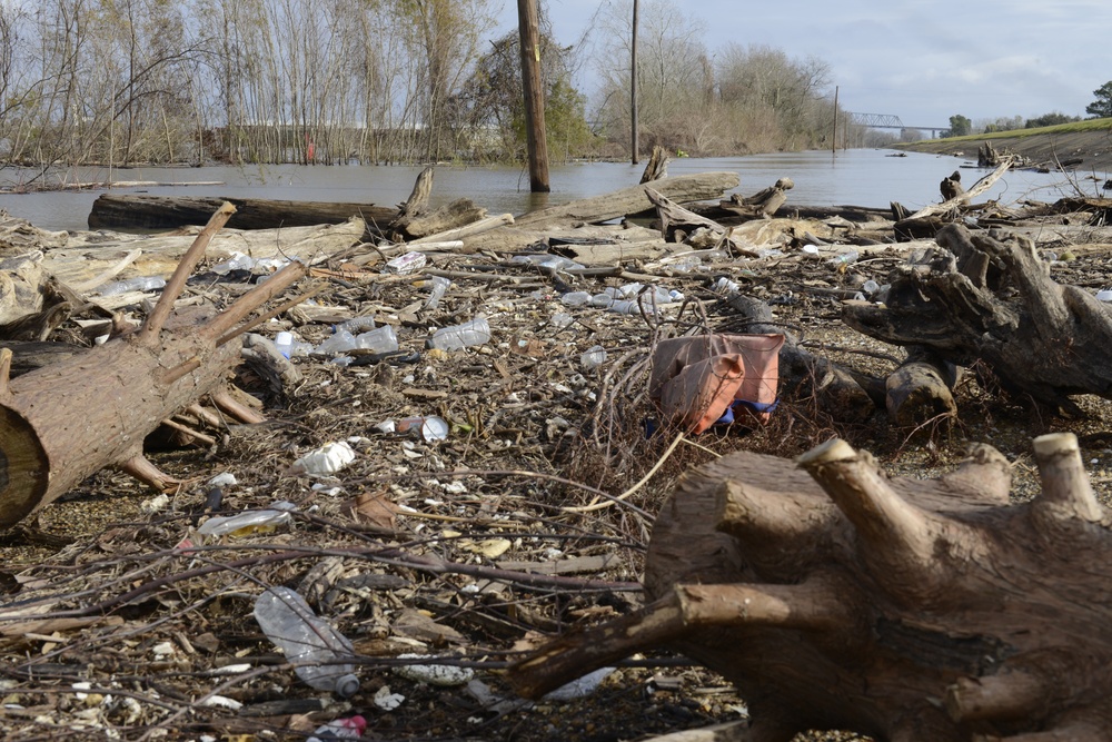 Debris field on Mississippi River bank