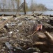 Debris field on Mississippi River bank