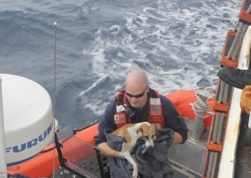 Coast Guard Cutter Resolute returns home after a multi-mission new year patrol