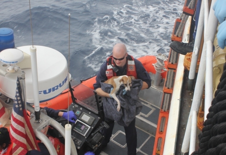 Coast Guard Cutter Resolute returns home after a multi-mission new year patrol