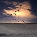 Spartan paratroopers conduct night jump operations