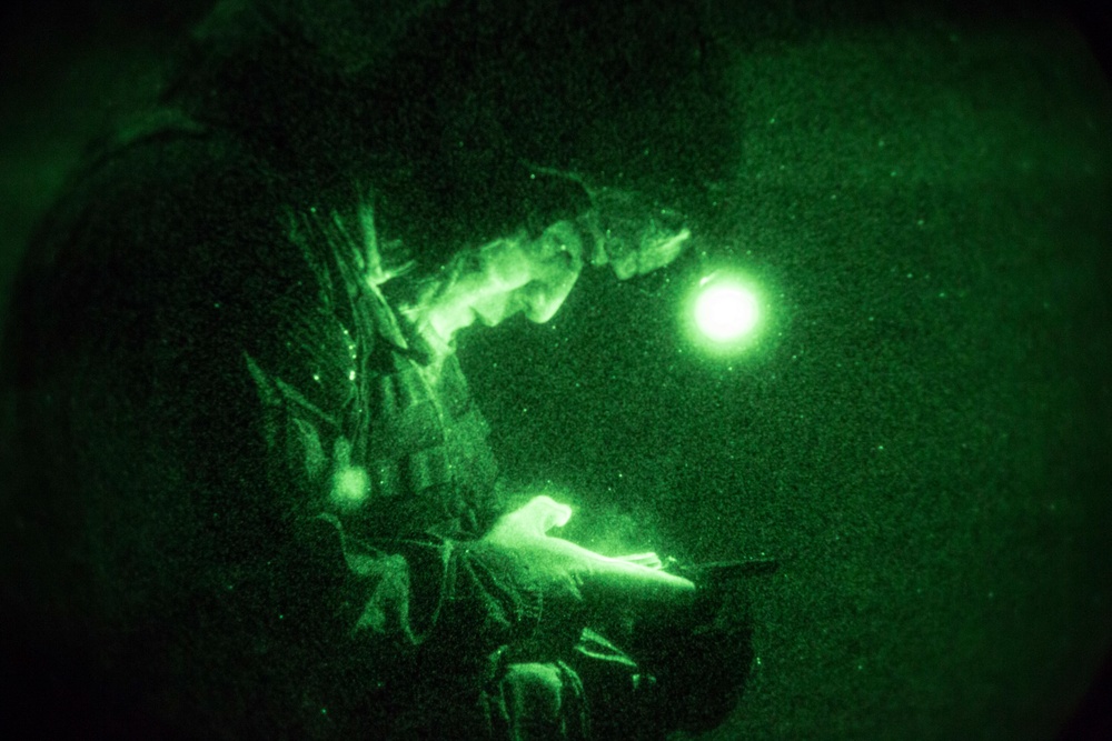 Spartan paratroopers conduct night jump operations