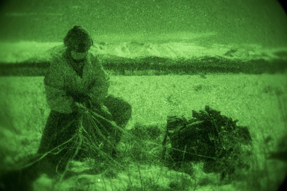 Spartan paratroopers conduct night jump operations