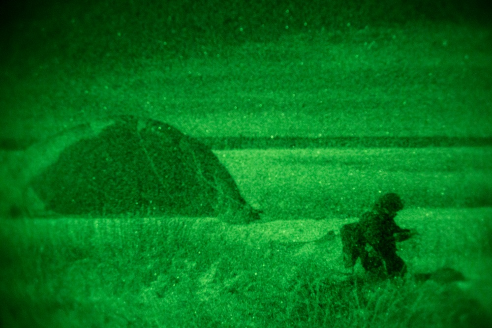 Spartan paratroopers conduct night jump operations