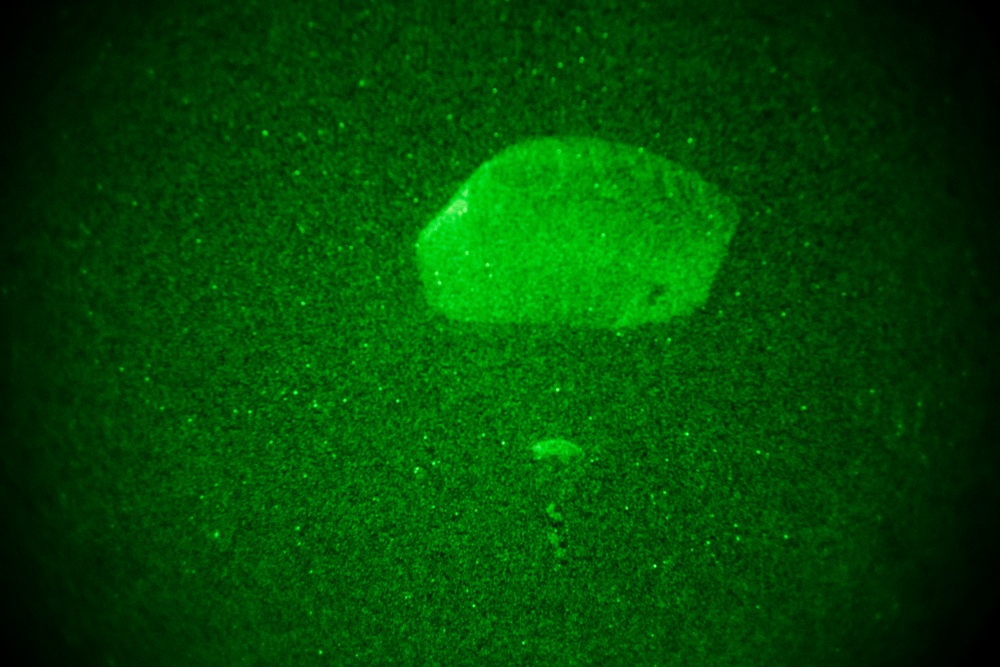 Spartan paratroopers conduct night jump operations