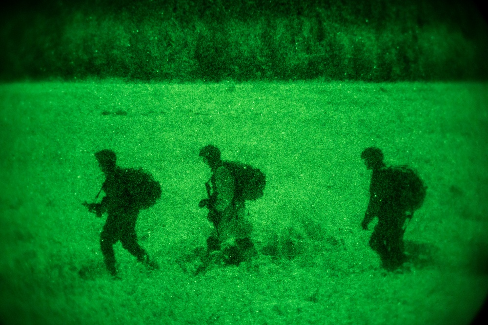 Spartan paratroopers conduct night jump operations