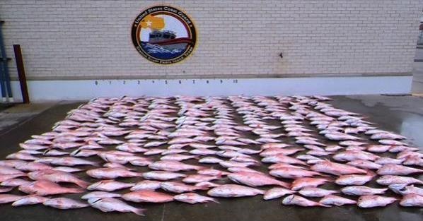 Coast Guard seizes 281 illegal northern red snapper near South Padre Island, Texas