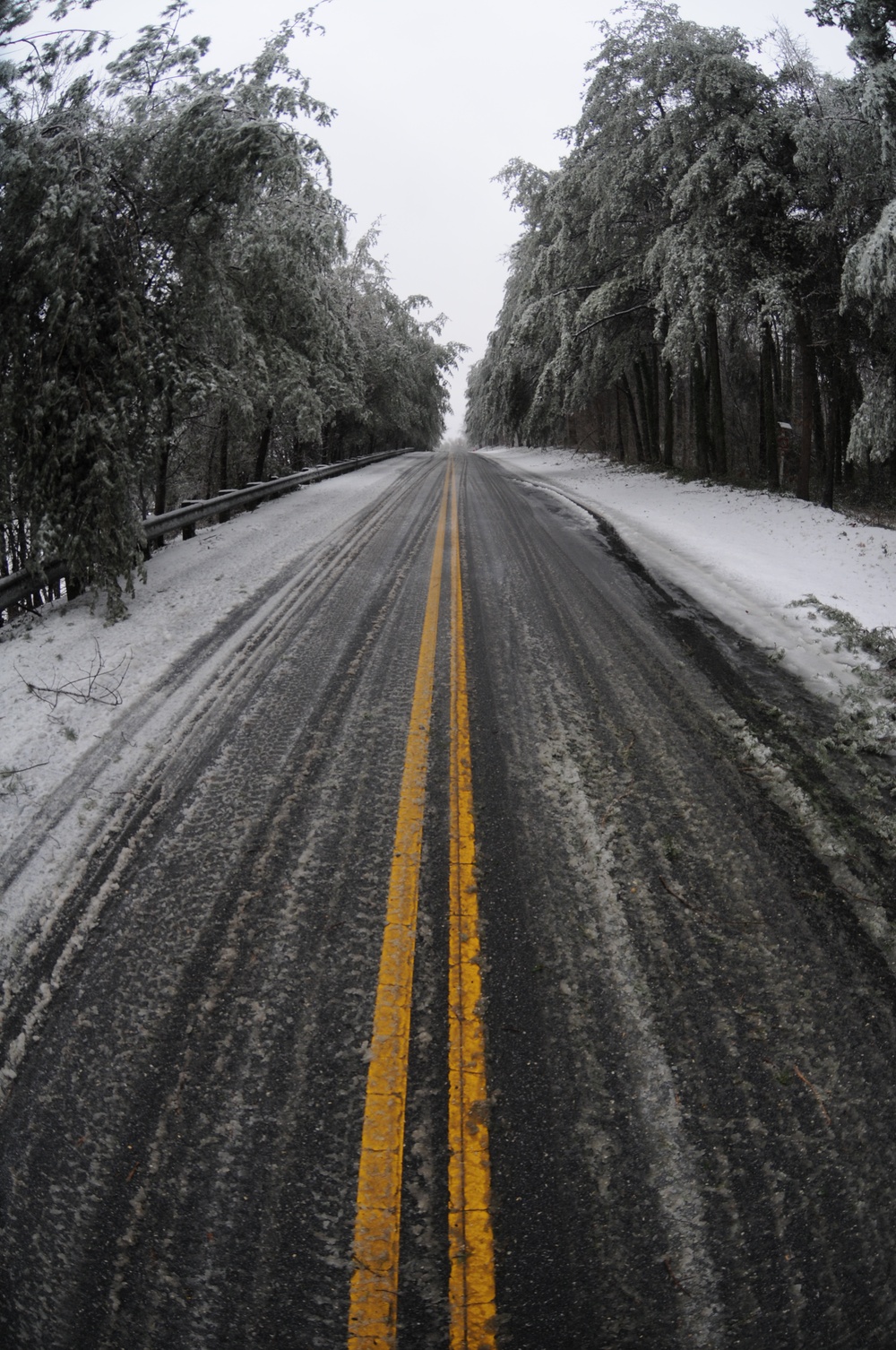 South Carolina Winter Storm January 22, 2016