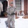 NCNG responds to Winter Storm Jonas NCNG responds to Winter Storm Jonas