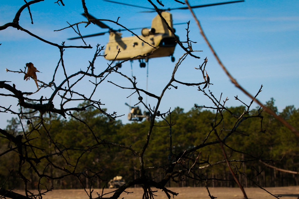 CH-47 Chinooks support gun raid