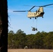 CH-47 Chinooks support gun raid