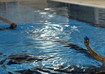 Defenders, K-9s embrace deep blue