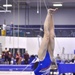 Women's Gymnastics Triangular Meet