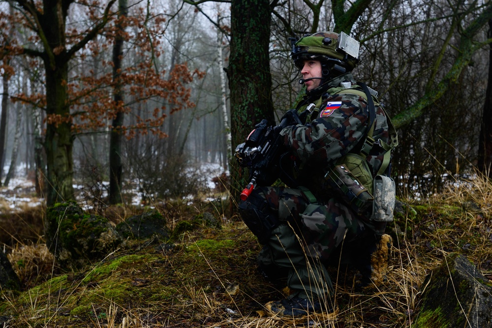 Exercise Allied Spirit IV