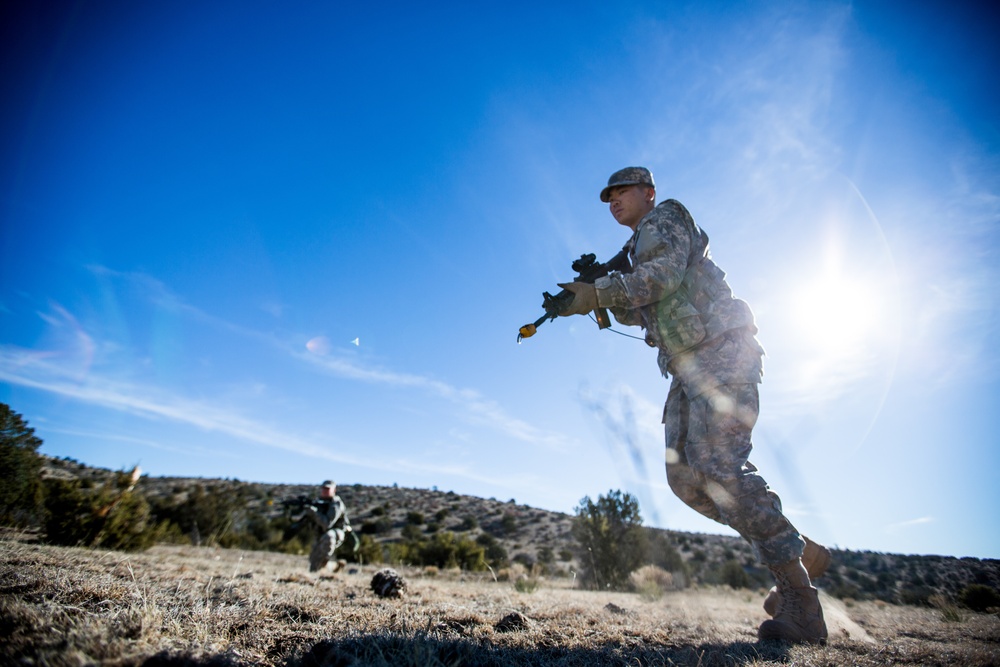 Desert Warrior battle drills