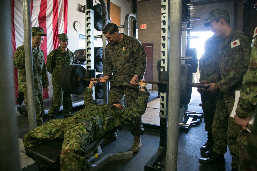 Exercise Iron Fist 2016 Dive Study