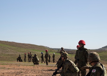 Exercise Iron Fist 2016: Bilateral Attack at Range 223B