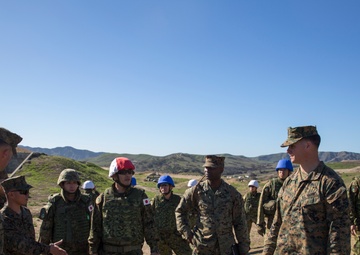 Exercise Iron Fist 2016: Bilateral Attack at Range 223B