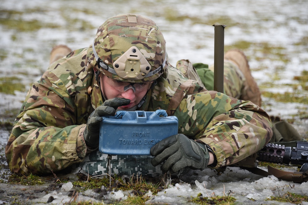 2nd Battalion, 503rd Infantry Regiment, 173rd Airborne Brigade EIB